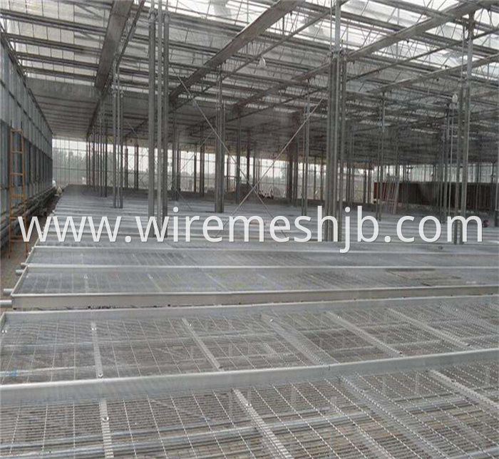 Greenhouse Seedling Bed Mesh